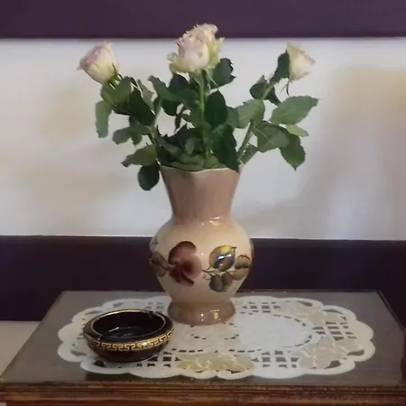 Hotel The Tony Nicosie