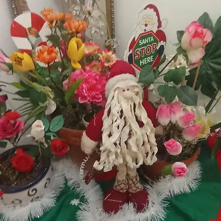 Hotel The Tony Nicosie